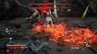 Cannoneer amp Blade Bearer Fight Code vein [upl. by Hitchcock267]