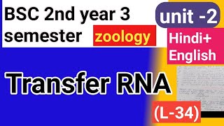 Bsc 2nd year 3semster zoology topic transfer rna [upl. by Alial632]