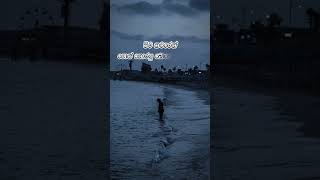 කතාව ඇත්ත නම් කමෙන්ට් කරන්න 🥺🥀 Sad whatsapp status video  Wadan  Adara Wadan  sinhala sad wadan [upl. by Ylnevaeh80]