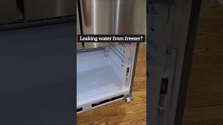 The refrigerator is leaking water from the freezer section [upl. by Emoreg]