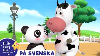 Alla kan ju skada sig  Little Baby Bum Svenska  Barnvisor [upl. by Koeppel993]