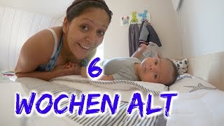 Baby 6 Wochen alt  Erstes mal durch geschlafen  Vlog792 Rosislife [upl. by Pettit]