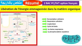 Résumé  Libération de lénergie emmagasinée dans la matière organique ملخص بالداريجة [upl. by Aeslek]