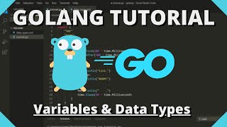 Golang Tutorial 2  Variables amp Data Types [upl. by Florette]