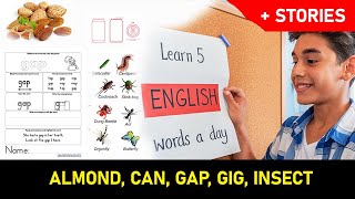 5W Learn five new English words a day almond can gap gig insect [upl. by Paton957]