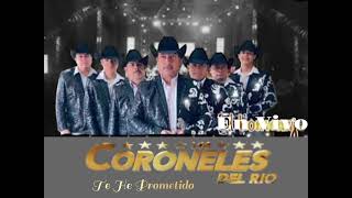 CORONELES DEL RIO En Vivo  Te He Prometido  Cover [upl. by Ahseket]