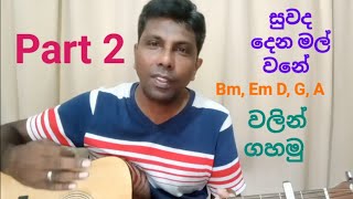 සුවද දෙන මල් වනේ Part 2  suwada dena mal wane guitar tutorial [upl. by Annairt]