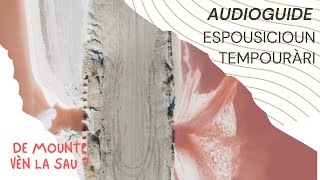 AUDIOGUIDE PRO  Espousicioun tempouràri  Espàci 02 [upl. by Trebron529]