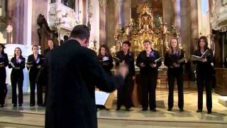 Thomas Hanelt Jubilate Deo  Cantate Venlo The Netherlands [upl. by Efi]