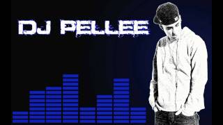 Forever All the Above DJ Pellee Mash Up  TPain vs Drake Ft Kanye West Eminem amp Lil Wayne [upl. by Bevvy531]