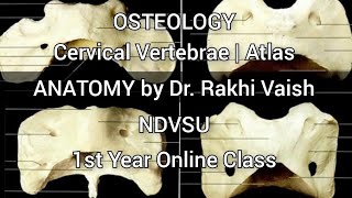 OSTEOLOGY  Atlas  Cervical Vertebrae ANATOMY by Dr Rakhi Vaish NDVSU 1st Year Online Class [upl. by Oruam]