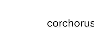 How to pronounce corchorus [upl. by Yk]