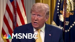 Journalist Eleanor Clift Trump’s Immigrant Roundups Are ‘Terror’  The Beat With Ari Melber  MSNBC [upl. by Barcellona117]