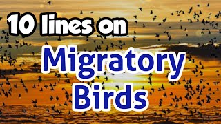 migratory birds short notes 10 lines on migratory birds in India migratory birds essay in English [upl. by Sandberg]