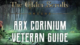 Arx Corinium  Veteran Dungeon Guide  The Elder Scrolls Online [upl. by Abita]