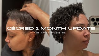 CECRED 1 MONTH UPDATED REVIEW  WATCH MY SILK PRESS REVERT  NONBEYHIVER [upl. by Ahsemrac]