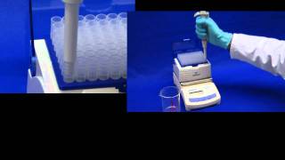 Eppendorf Research® plus mechanical pipettes and epTIPS® pipette tips An ideal pipetting system [upl. by Sam]