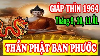 BÙ LẠI 1 ĐỜI VẤT VẢ Tuổi Giáp Thìn 1964 Trời Thương Phật Độ Đổi Đời Cực Giàu 3 Tháng 91011 ÂL [upl. by Hellene]