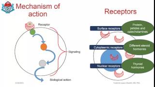 Fundamental concepts in endocrine physiology part 8 [upl. by Gettings]