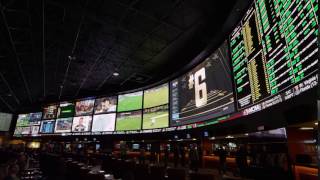 Westgate Sportsbook Case Study featuring HB Communications rp Visual Solutions and Christie [upl. by Emiaj]