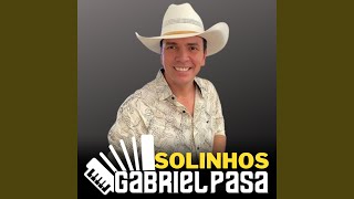 Solinhos Gabriel Pasa [upl. by Saree]