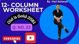 12 Column Worksheet  Class 12 NEB  Old is Gold 2081 Solution [upl. by Nosila]