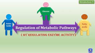 5 Regulation of Metabolic Pathways  Mechanisms of Regulation of Enzyme Activity Metabolism5 [upl. by Natam]