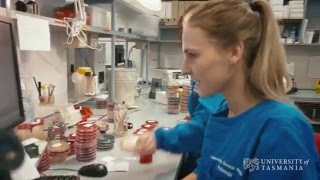 What does a microbiologist do  University of Tasmania [upl. by Weismann]