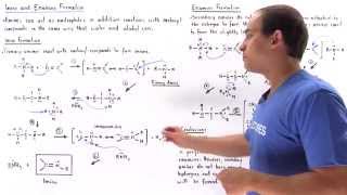 Imine and Enamine Formation [upl. by Anawad]