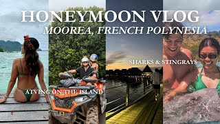 WEEK IN MOOREA VLOG swimming with sharks amp stingrays  overwater bungalow [upl. by Garzon]