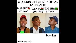 Words in different African languages Episode 3 [upl. by Garrard]