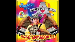 La timida Señorita Karaoke Aniceto Molina [upl. by Aivlis]