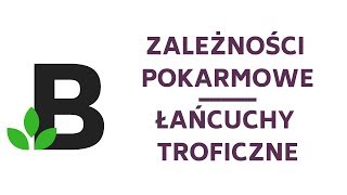 Zależności pokarmowe Łańcuchy troficzne  ekologia  KOREPETYCJE z BIOLOGII  165 [upl. by Sawyere]