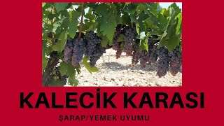 🍇002 KALECİK KARASI üzüm çeşidi şarap ve yemek uyumu🍷 [upl. by Jase494]