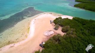 Lac Baai Bonaire [upl. by Allison]