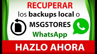 RECUPERAR archivos msgstoredbcrypt [upl. by Aidin]