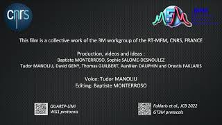 RTMFM GT3M  Light sources characterisation [upl. by Bamby]