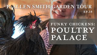 Wacky Crested Poultry Breeds Celebrity Lookalike  P Allen Smith [upl. by Mcdougall]