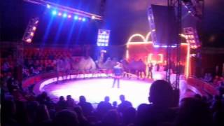 CIRKUS BEROUSEK SULTAN UHHRADIŠTĚ 2014 [upl. by Atilam]