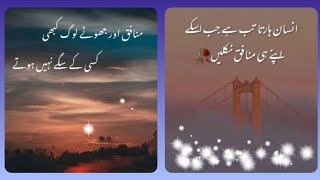 Heart Touching ❣️ And Heart Broken 💔 Quotes About Munafiq  Quotes In Urdu  Hindi For Status Dpzz [upl. by Lily]