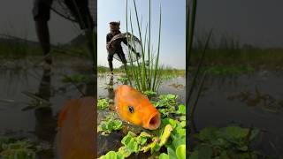 Nicely Easy Bamboo Tools Polo Fishing shorts fish fishing viralvideo ytshorts [upl. by Airdnazxela]