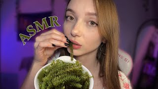 АСМР ПРОБУЕМ МОРСКОЙ ВИНОГРАД 😋 итинг 💗 звуки рта [upl. by Culosio]