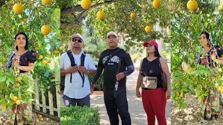 Tour Tropical Garden in Southern California [upl. by Normi207]