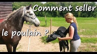 Comment seller le poulain   Débourrage de Clémence partie 6 [upl. by Yssenhguahs799]