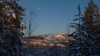 Fjällsemestern är nära [upl. by Gambell]