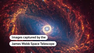 Webb telescope captures images of 19 spiral galaxies  REUTERS [upl. by Prud]