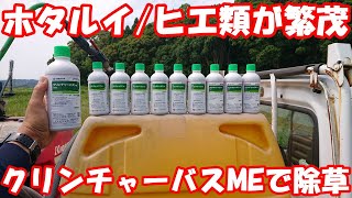 最強の除草剤？ホタルイとキシュウスズメノヒエが毎年発生する田んぼにクリンチャーバスME散布！ [upl. by Ydderf347]