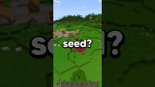 BEST BEDROCK 121 SEED shorts [upl. by Katushka]