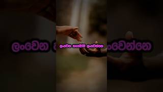 සිතුවිල්ල  sithuwili ep 27  sinhala wadan  hithata wadina wadan feelings quotes wadan love [upl. by Bridge]