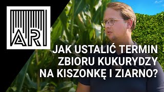 Jak ustalić termin zbioru kukurydzy na kiszonkę i ziarno  AR 195 [upl. by Della]